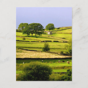 Carte Postale Yorkshire landscape