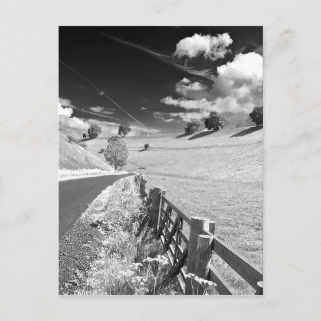 Carte Postale Yorkshire noir et blanc (Devant)