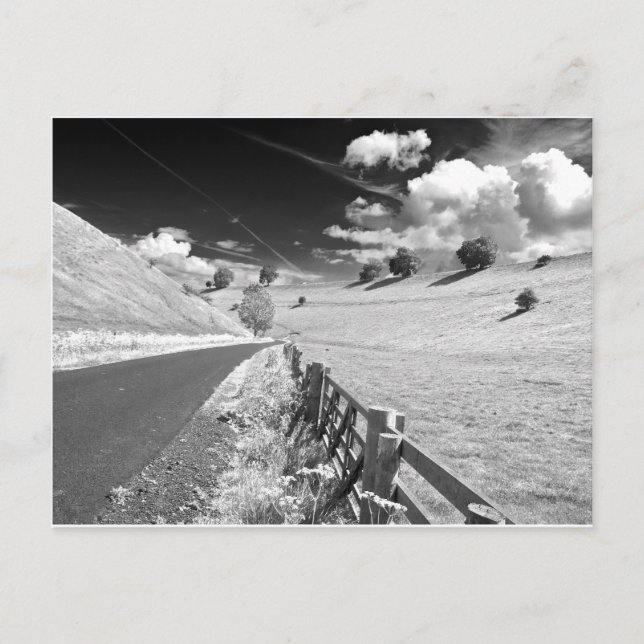 Carte Postale Yorkshire noir et blanc (Devant)