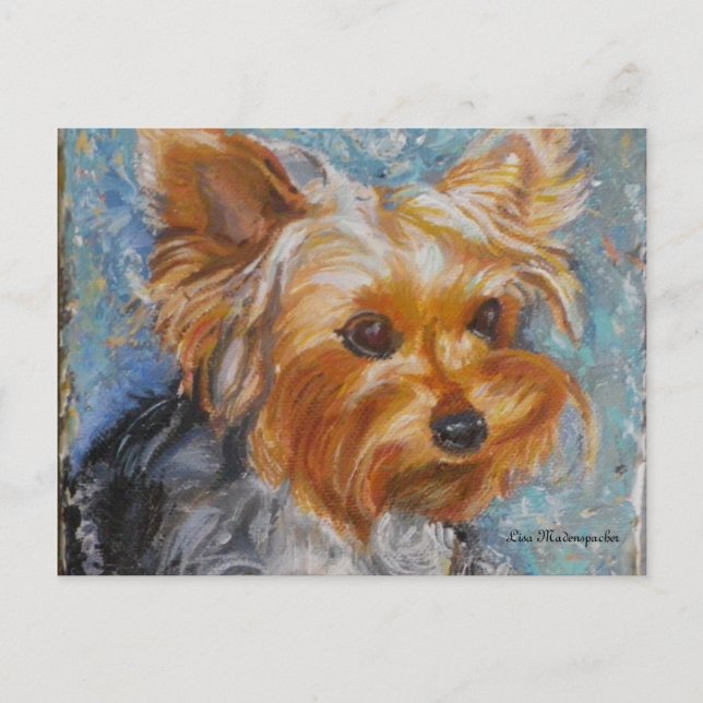 Carte postale Yorkshire Terrier (Devant)