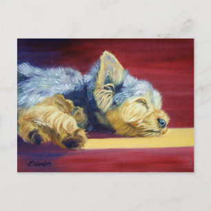 Carte Postale Yorkshire Terrier