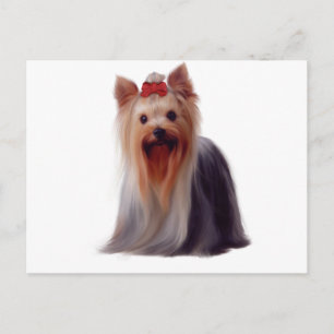 Carte Postale Yorkshire Terrier