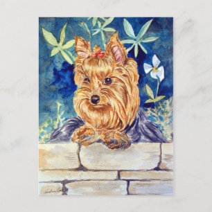 Carte Postale Yorkshire Terrier