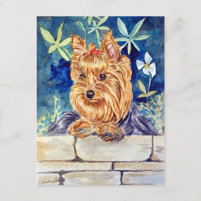 Carte Postale Yorkshire Terrier (Devant)