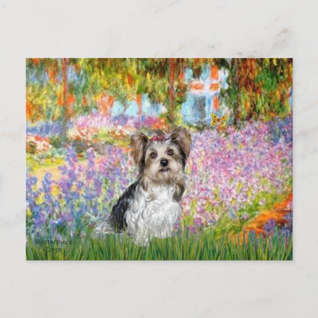 Carte Postale Yorkshire Terrier (Biewer) - Jardin (Devant)