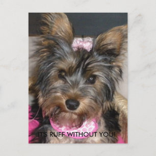 Carte Postale Yorkshire Terrier, C'EST RUFF SANS VOUS !