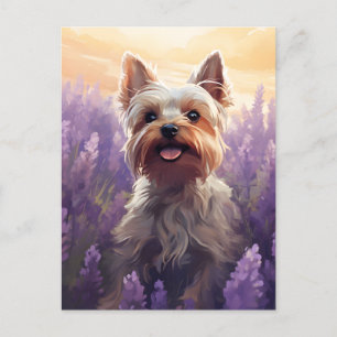 Carte Postale Yorkshire Terrier dans le champ Lavender