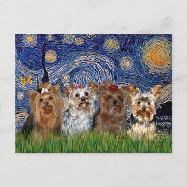 Carte Postale Yorkshire Terrier Quad - Nuit étoilée (Devant)