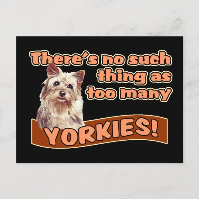 CARTE POSTALE YORKSHIRE TERRIERS (Devant)