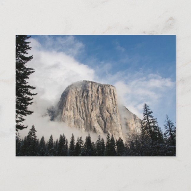 Carte Postale Yosemite (Devant)