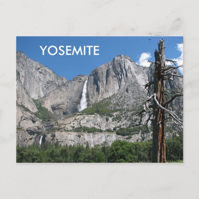 Carte postale Yosemite ! (Devant)