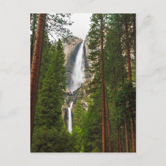 Carte Postale Yosemite Falls à travers la forêt (Devant)
