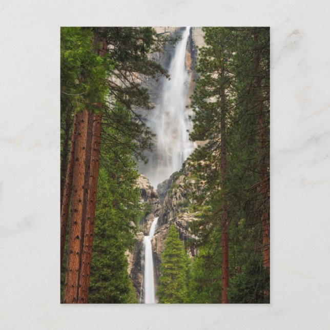 Carte Postale Yosemite Falls, Californie (Devant)