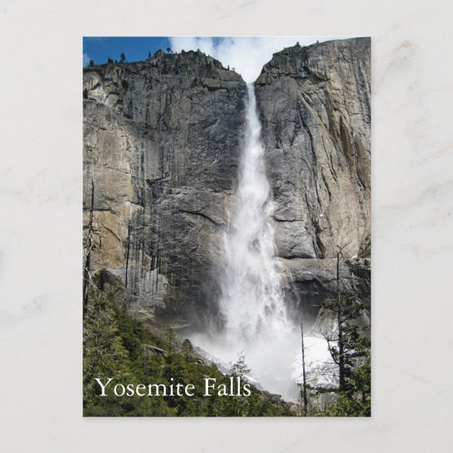 Carte Postale Yosemite Falls Postcard (Devant)