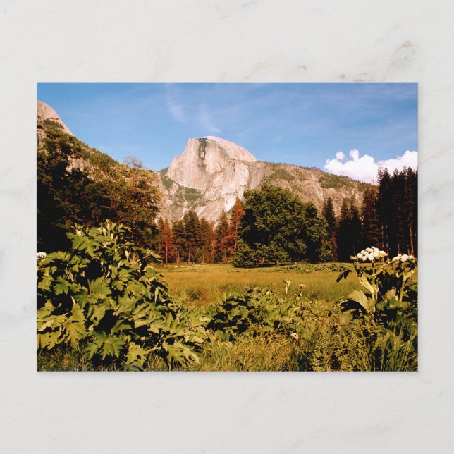 Carte postale Yosemite National Park California (Devant)