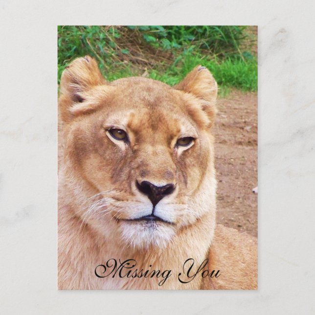 Carte postale You_ manquante (Devant)