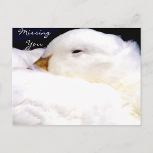 Carte postale You_ manquante