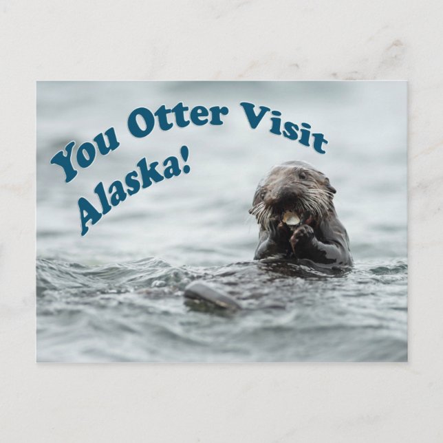 Carte Postale You Otter Visite l'Alaska (Devant)