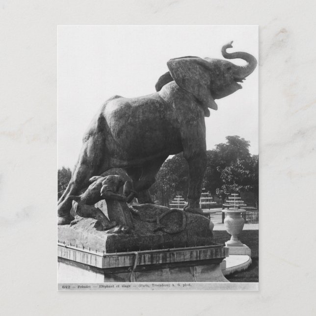 Carte Postale Young Elephant pris dans un piège (Devant)
