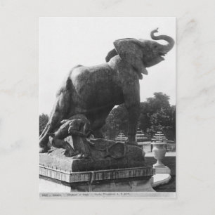 Carte Postale Young Elephant pris dans un piège
