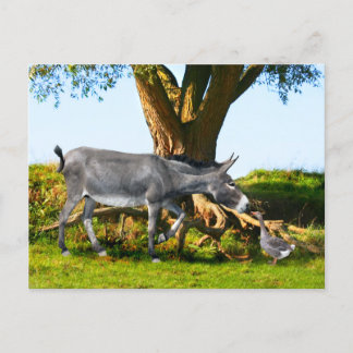 Carte postale "Young Eno & Henri"