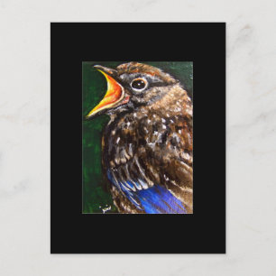 Carte Postale Young Voice (baby Robin) ACEO Art Trading Card