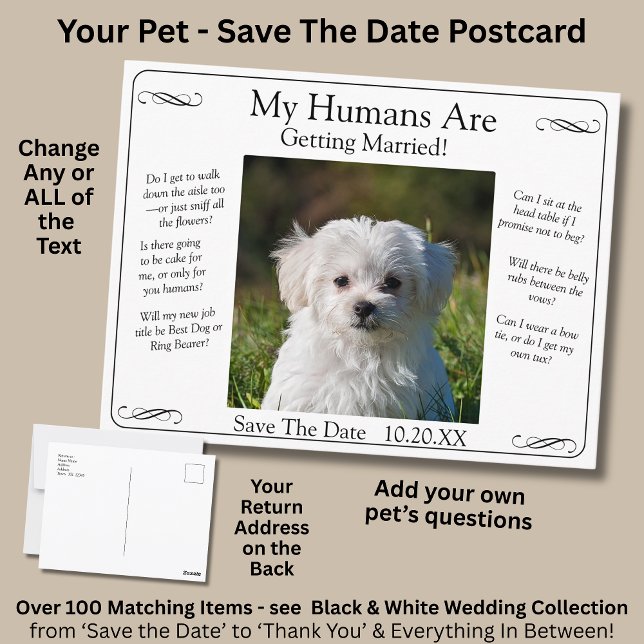 Carte Postale Your Pet Photo Save The Date Black White Infinity (Créateur téléchargé)