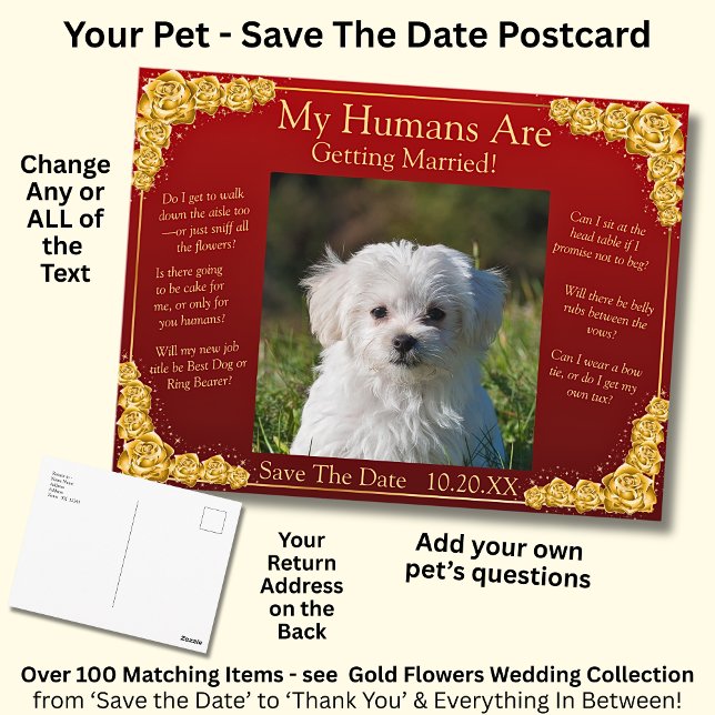 Carte Postale Your Pet Photo Save The Date Gold Roses Maroon Red (Créateur téléchargé)