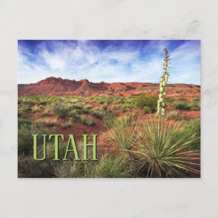 Carte Postale Yucca du désert de l'Utah