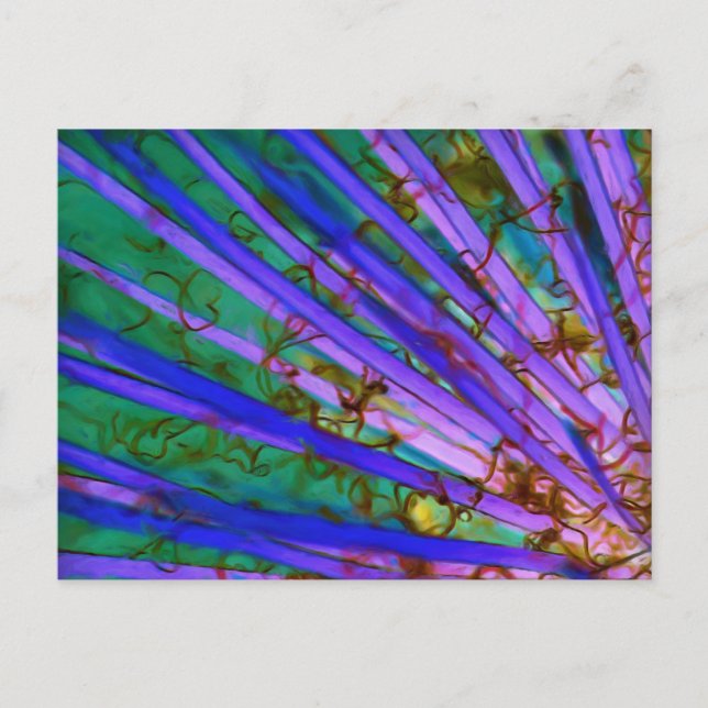 Carte Postale Yucca Psychedélique Inversé (Devant)