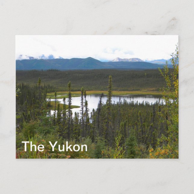 Carte Postale Yukon Pond (Devant)