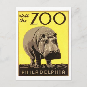 Carte Postale Z00 - Hippo