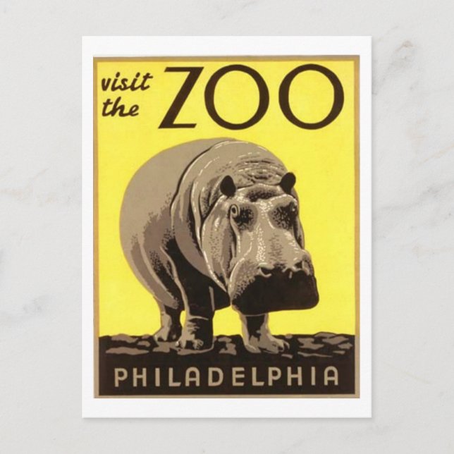 Carte Postale Z00 - Hippo (Devant)