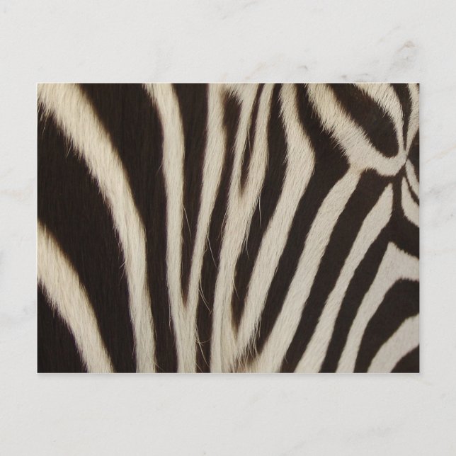 Carte Postale Z Stripes (Devant)