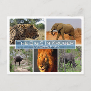 Carte Postale ZA Afrique du Sud - The Big 5 In Krugen N.P. -