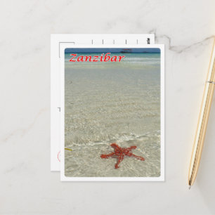 Carte Postale Zanzibar - Sea View - Starfish -