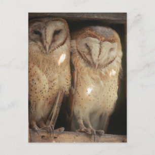 Carte Postale Zanzibar, Tanzanie, Afrique de l'Est