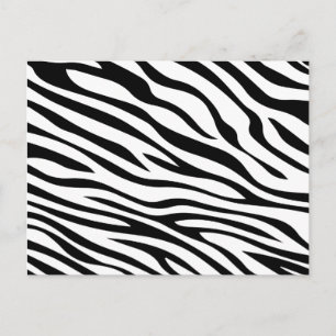 Carte Postale Zebbra barre noir et blanc