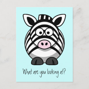 Carte postale Zebra