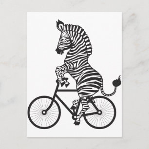 Carte Postale Zebra à vélo