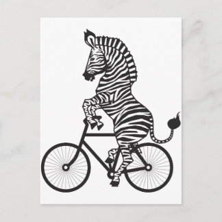 Carte Postale Zebra à vélo