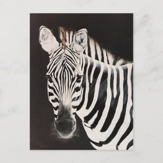 Carte Postale Zebra de Taylor