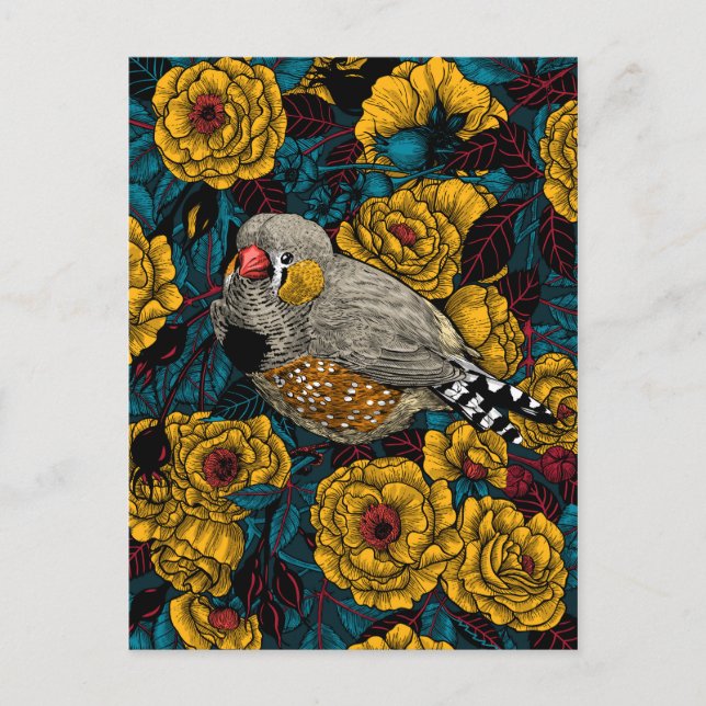 Carte Postale Zebra finch et buisson rose (Devant)