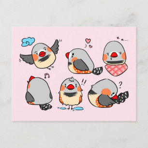 Carte Postale Zebra finch mignon dessin animé rose à damiers mot