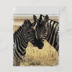 CARTE POSTALE ZEBRA LOVE