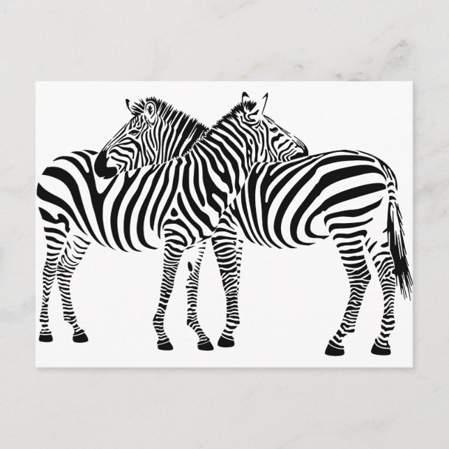 Carte Postale Zebra Love (Devant)