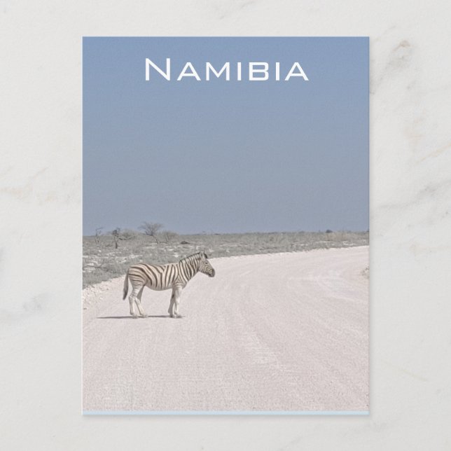Carte postale Zebra, Namibie (Devant)