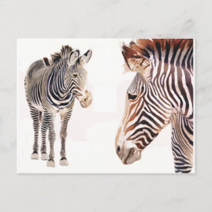 Carte Postale "Zebra Pair" Aquarelle Art de la faune