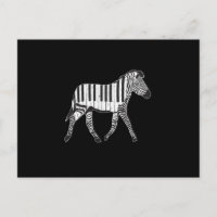 Zebra Piano Keyboards Piano Player Piano Player Pi