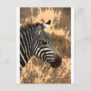 Carte Postale Zebra Stripes